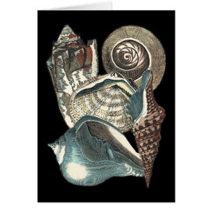 Seashell-antologi Hälsningskort