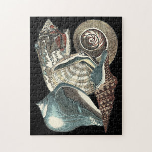 Seashell-antologi Pussel