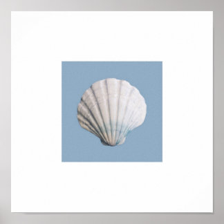 Seashell art print poster