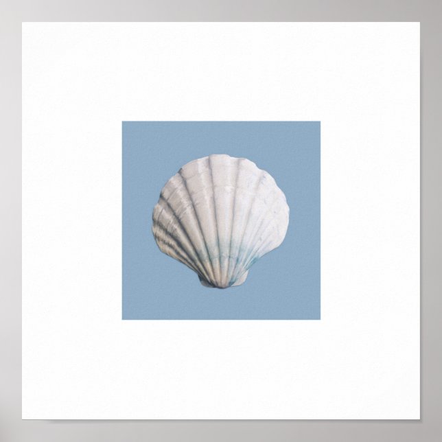 Seashell art print poster (Framsidan)