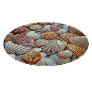 SEASHELL BEACH