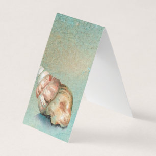 Seashell Beach Foldat-bokmärke Visitkort