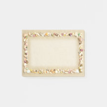 Seashell Beach Sand Gräns