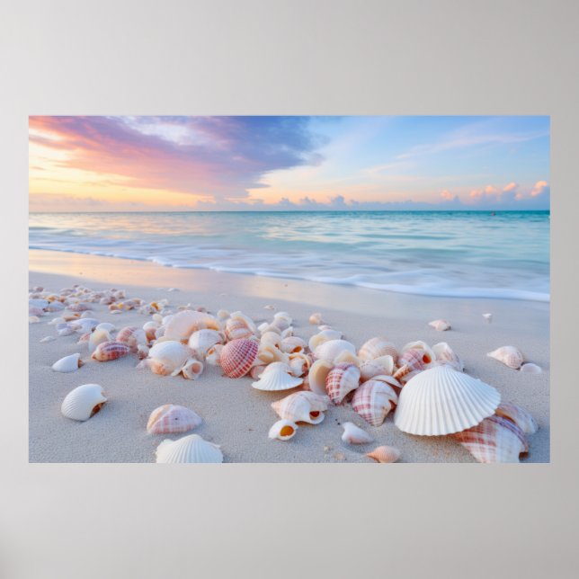 Seashell Beach Tranquil fredliga natur Poster (Framsidan)