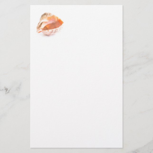 Seashell Brevpapper (Framsida)