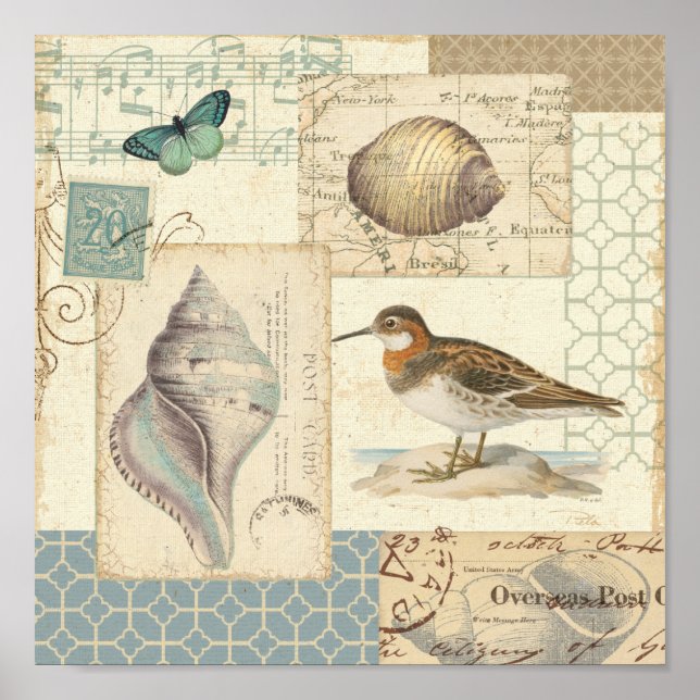 Seashell Collage Poster (Framsidan)