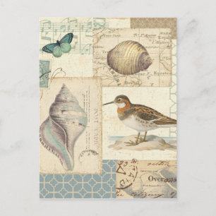 Seashell Collage Vykort