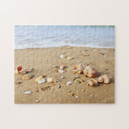 Seashell Collection Pussel