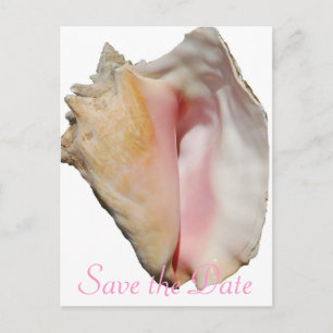 Seashell Conch Beach Wedding Meddelande Vykort