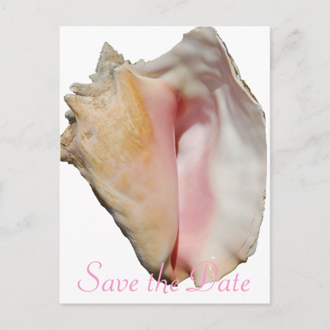 Seashell Conch Beach Wedding Meddelande Vykort (Framsida)
