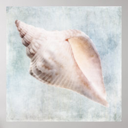 Seashell Distress Coastal Blue Cream Watercolor Poster