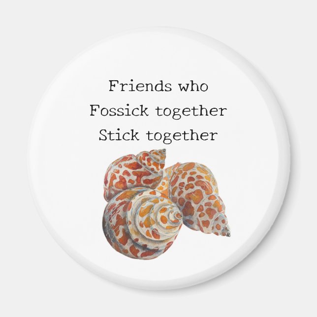 Seashell/Fossickers Magnet (Framsidan)
