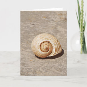 SeaShell Helgkort