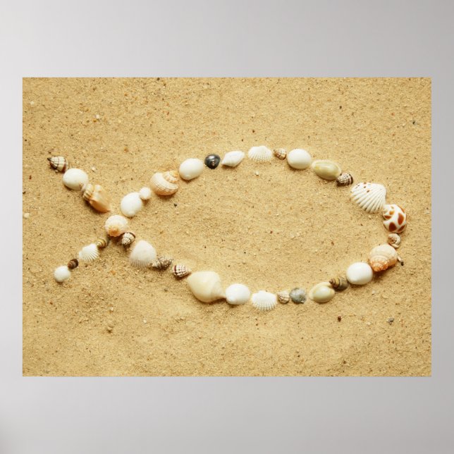 Seashell Ichthys Poster (Framsidan)
