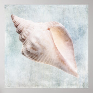 Seashell-kalaserat Kustblått Cream-vattenfärg Poster