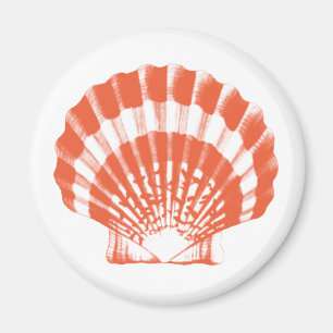 Seashell - korall orange och vit magnet