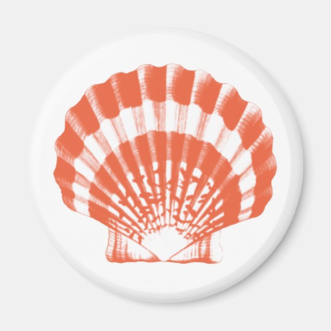 Seashell - korall orange och vit magnet (Framsidan)