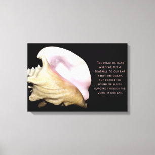 Seashell Ljud Wrapped Canvas