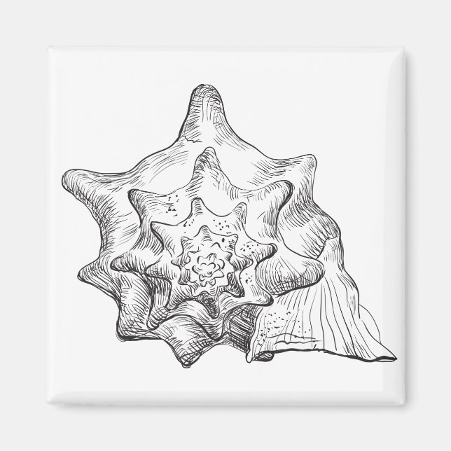 Seashell Magnet (Framsidan)