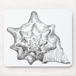 Seashell Musmatta