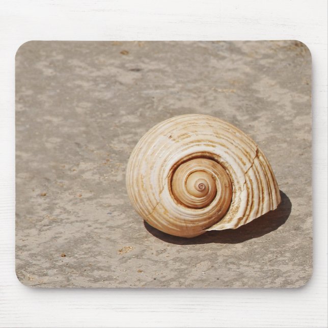SeaShell Musmatta (Framsidan)