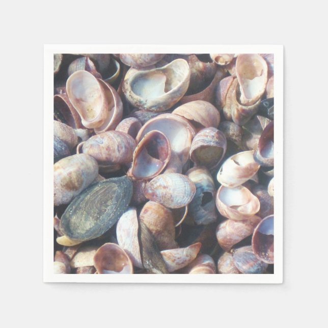 Seashell Napkin Pappersservett (Framsidan)