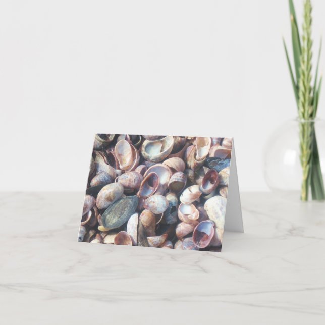 Seashell Notecard Kort (Framsida)