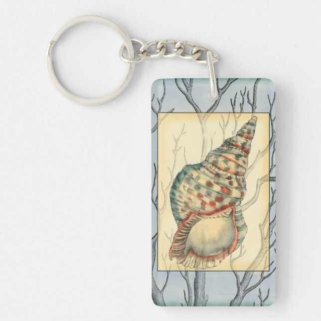 Seashell och Träd Grenar (Framsidan)