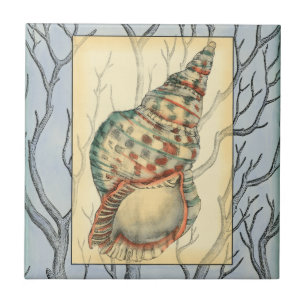 Seashell och Träd Grenar Kakelplatta