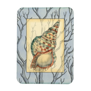 Seashell och Träd Grenar Magnet