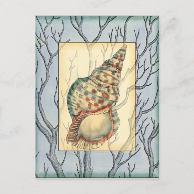 Seashell och Träd Grenar Vykort (Framsida)