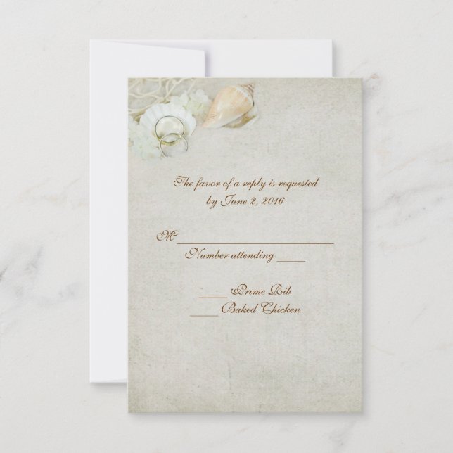 Seashell OSA (Framsida)