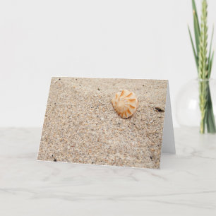 Seashell på Beach Kort