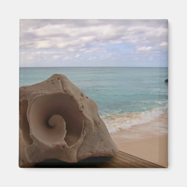 Seashell på Beach Photo Magnet (Framsidan)