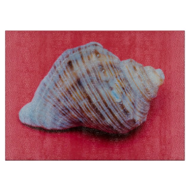 Seashell på röd bakgrund (Framsidan)