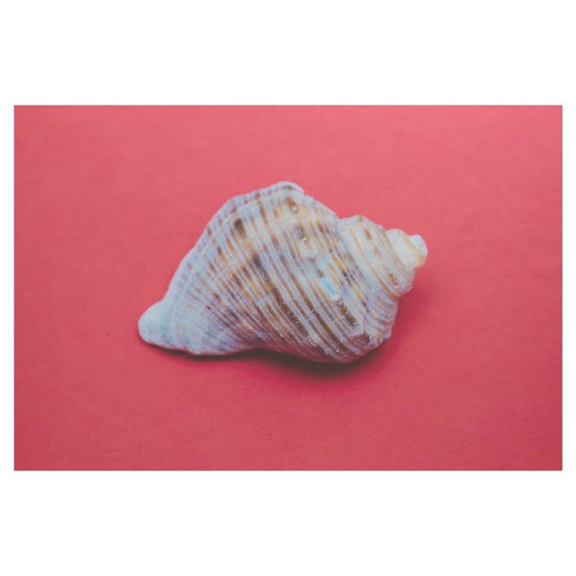 Seashell på röd bakgrund tyg (Yard)