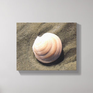 Seashell på Sand Canvastryck
