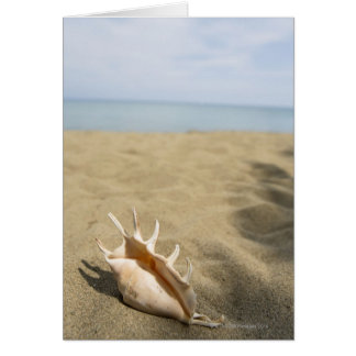 Seashell på sandstranden hälsningskort