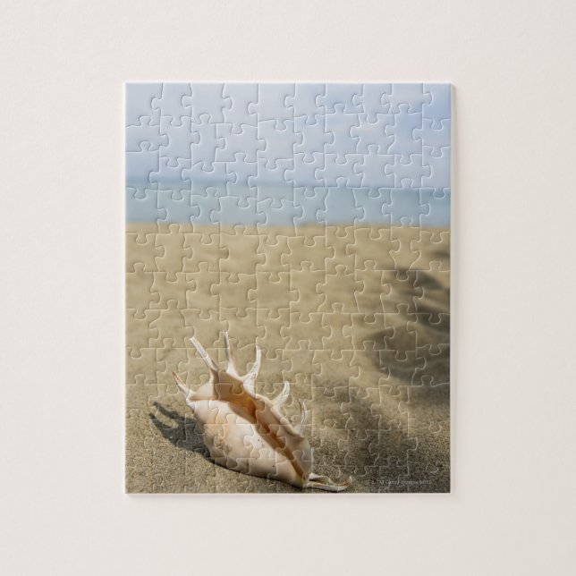 Seashell på sandstranden pussel (Vertikal)