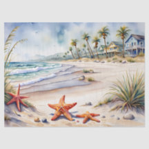 Seashell på stranden