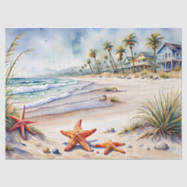 Seashell på stranden