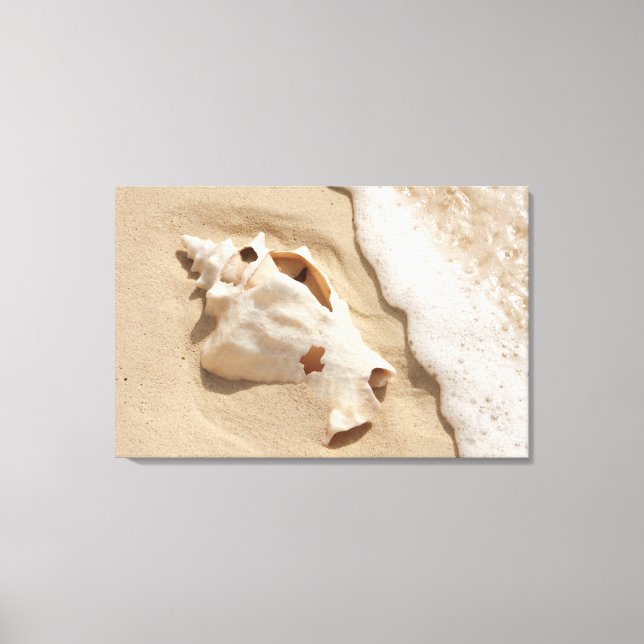 Seashell på stranden | ön Grand Turk-Karibien Canvastryck (Framsida)