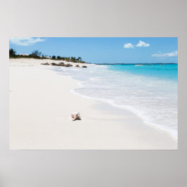 Seashell på stranden poster