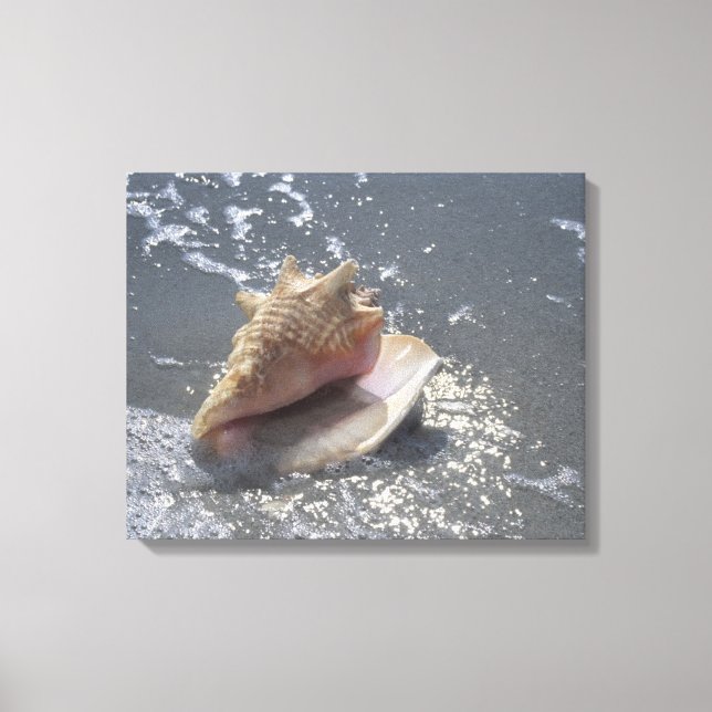 Seashell på stranden | Sanibel Island, Florida Canvastryck (Framsida)