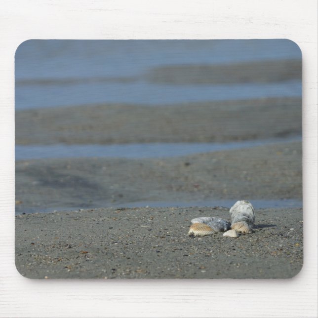 Seashell Pile Musmatta (Framsidan)