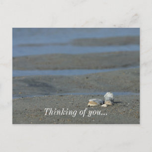 Seashell Pile Vykort