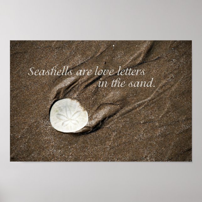 Seashell Poster (Framsidan)