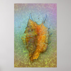 SEASHELL Poster