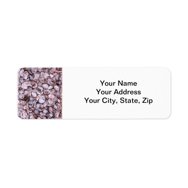 Seashell Returadress Lables Etikett (Framsidan)