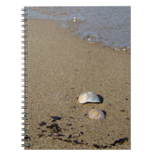 Seashell Seashore Notebook Anteckningsbok Med Spiral